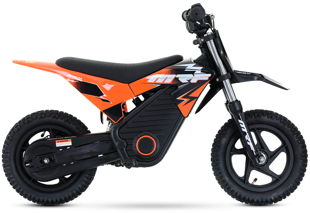eJOY 250 MX